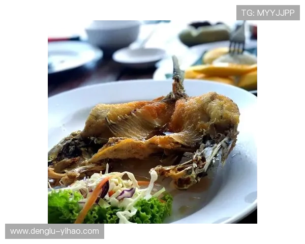 法兰克福与门兴周边旅游景点美食文化深度探秘指南